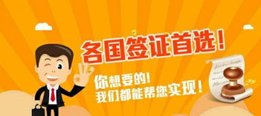 深旅签证咨询服务指南